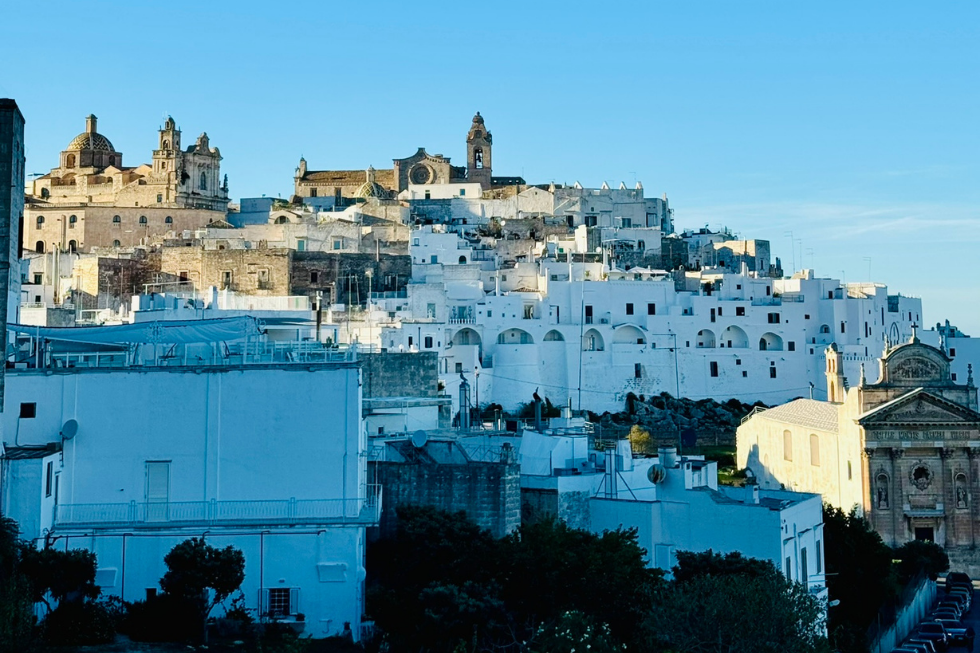 About Flexile Classic