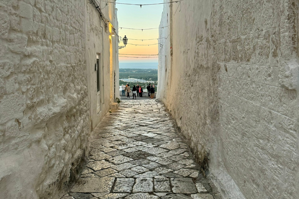 About Flexile Classic