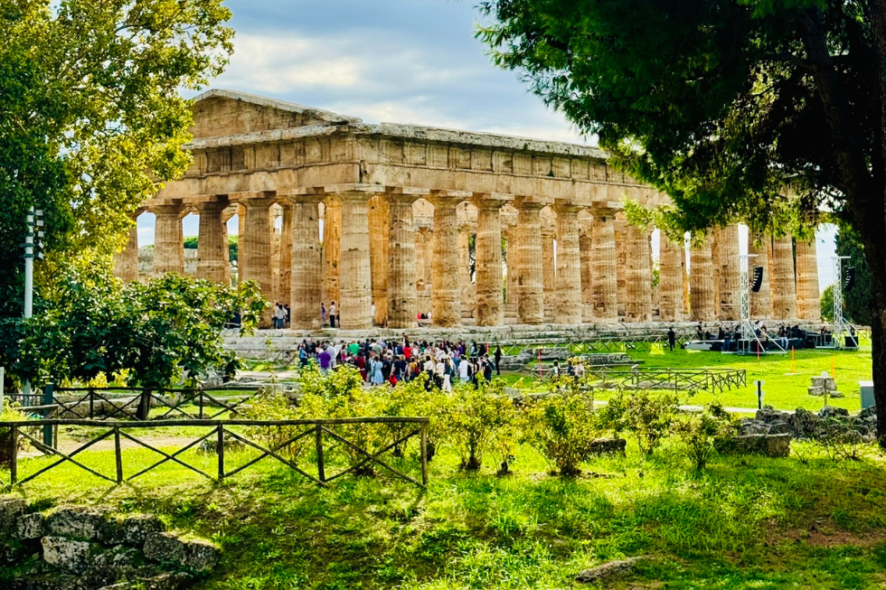 About Flexile Classic